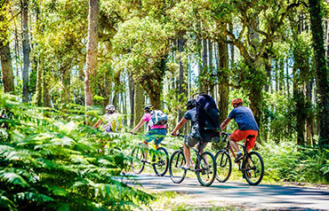 Les randonnées à vélo